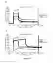 Fig. 23 - ANTIBODIES AGAINST HGF - RECEPTOR AND USES