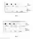 Fig. 05 - CARIES RISK TEST FOR PREDICTING AND ASSESSING THE RISK OF DISEASE