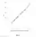 Fig. 13 - CARIES RISK TEST FOR PREDICTING AND ASSESSING THE RISK OF DISEASE