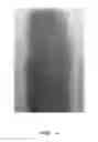 Fig. 02 - PRODUCING METHOD OF COSMETICS COMPOSITION FOR A LIP TATTOO PACK AND THEREFROM