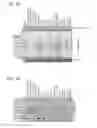 Fig. 07 - NOVEL SURFACE MARKERS FOR ADIPOSE TISSUE