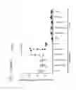 Fig. 28 - NOVEL SURFACE MARKERS FOR ADIPOSE TISSUE