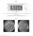 Fig. 05 - Copper resistant, fengycin-producing strain for controlling vegetable pathogens, its use and compositions containing it