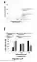 Fig. 04 - Generation of functional and durable endothelial cells from human amniotic fluid-derived cells