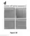 Fig. 13 - Generation of functional and durable endothelial cells from human amniotic fluid-derived cells