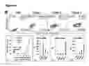 Fig. 14 - Generation of functional and durable endothelial cells from human amniotic fluid-derived cells