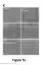Fig. 19 - Generation of functional and durable endothelial cells from human amniotic fluid-derived cells
