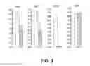 Fig. 04 - METHODS AND COMPOSITIONS OF PRODUCING PATIENT-SPECIFIC MULTIPOTENT NEURONAL STEM CELLS