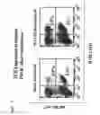 Fig. 09 - Therapeutically useful molecules