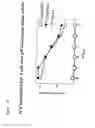 Fig. 13 - Therapeutically useful molecules