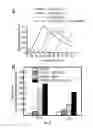 Fig. 10 - ALLOSTERIC CHAPERONES AND USES THEREOF