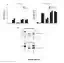 Fig. 15 - TARGETED ENZYME COMPOUNDS AND USES THEREOF
