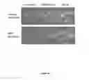 Fig. 17 - TARGETED ENZYME COMPOUNDS AND USES THEREOF