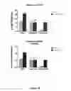 Fig. 19 - TARGETED ENZYME COMPOUNDS AND USES THEREOF