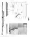 Fig. 09 - CURCUPHENOL COMPOUNDS FOR INCREASING MHC-I EXPRESSION