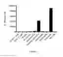 Fig. 02 - Compositions and methods for targeting type 1 interferon producing cells