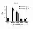 Fig. 08 - VACCINE COMPOSITION FOR PREVENTING STAPHYLLOCOCCUS AUREUS INFECTION