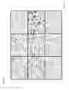 Fig. 03 - ANTI-RSPO ANTIBODIES AND METHODS OF USE