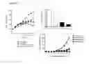 Fig. 16 - ANTI-RSPO ANTIBODIES AND METHODS OF USE