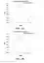 Fig. 04 - Immunotherapy targeting of the shared abnormal conformational state of amyloidogenic peptides/proteins
