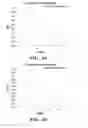 Fig. 07 - Immunotherapy targeting of the shared abnormal conformational state of amyloidogenic peptides/proteins