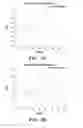 Fig. 09 - Immunotherapy targeting of the shared abnormal conformational state of amyloidogenic peptides/proteins