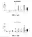 Fig. 13 - Immunotherapy targeting of the shared abnormal conformational state of amyloidogenic peptides/proteins