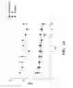 Fig. 15 - Immunotherapy targeting of the shared abnormal conformational state of amyloidogenic peptides/proteins