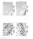 Fig. 17 - Immunotherapy targeting of the shared abnormal conformational state of amyloidogenic peptides/proteins