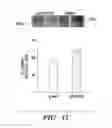 Fig. 20 - Immunotherapy targeting of the shared abnormal conformational state of amyloidogenic peptides/proteins
