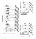 Fig. 45 - INTERFERON ALPHA-INDUCED PHARMACODYNAMIC MARKERS AND USES THEREOF