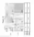 Fig. 69 - INTERFERON ALPHA-INDUCED PHARMACODYNAMIC MARKERS AND USES THEREOF