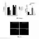 Fig. 12 - METHOD OF PROVIDING DISEASE-SPECIFIC BINDING MOLECULES AND TARGETS