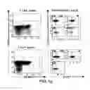 Fig. 04 - BTLA antibodies and uses thereof