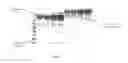 Fig. 03 - Conjugates of biologically active molecules to functionalized polymers