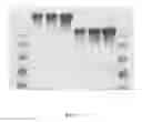 Fig. 05 - Conjugates of biologically active molecules to functionalized polymers