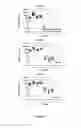 Fig. 02 - Immunogenic compounds comprising HIV GP41 peptide coupled to CRM197 carrier protein