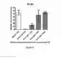 Fig. 05 - Immunogenic compounds comprising HIV GP41 peptide coupled to CRM197 carrier protein