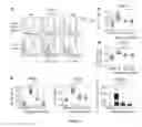 Fig. 03 - Compositions and Methods of Vaccination