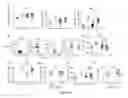 Fig. 04 - Compositions and Methods of Vaccination