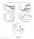 Fig. 05 - Compositions and Methods of Vaccination
