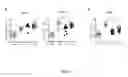 Fig. 07 - Compositions and Methods of Vaccination