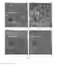 Fig. 16 - Sustained Delivery of Molecules Using Peptide Surfactants and Uses Thereof
