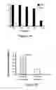 Fig. 04 - METHOD OF INDUCING ANTIBODIES TO HUMAN IMMUNODEFICIENCY VIRUS INVOLVING THE ADMINISTRATION OF MPER PEPTIDE-LIPOSOME CONJUGATES