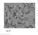 Fig. 06 - Methods and compositions for oral administration of protein and peptide therapeutic agents