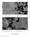 Fig. 06 - Controlled release of biological entities