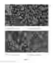 Fig. 07 - Controlled release of biological entities