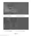 Fig. 10 - Controlled release of biological entities