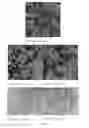 Fig. 13 - Controlled release of biological entities