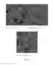 Fig. 14 - Controlled release of biological entities